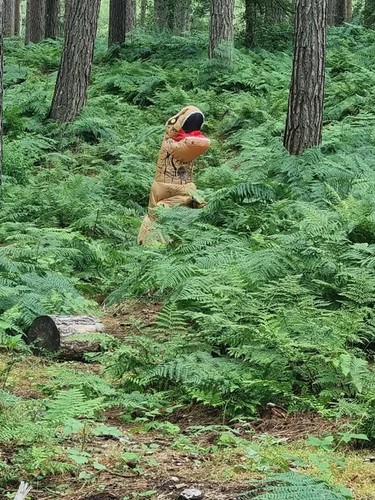 Rex dinosaur delamere - in,