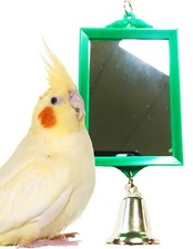1426 MIRROR BIRD TOY