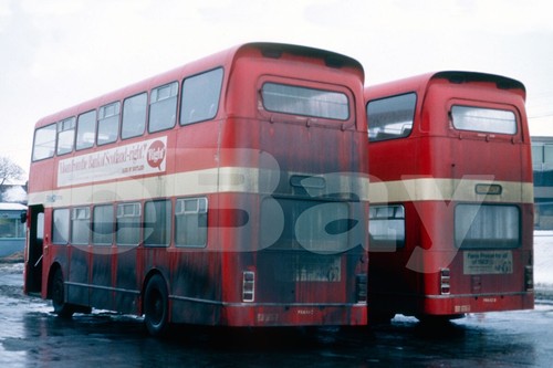 Bus photo fife scottish - -,