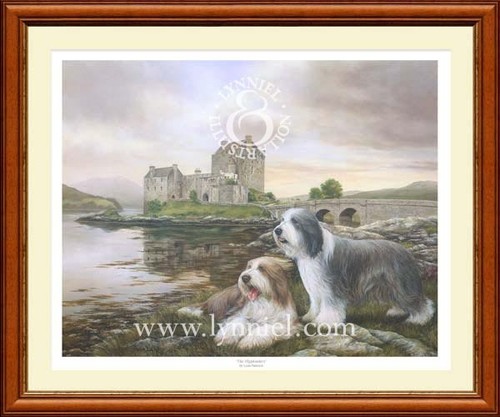 Bearded collie beardie dog art - bearded,