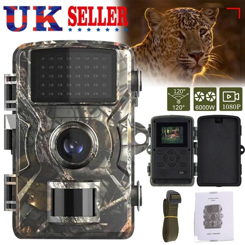 Wildlife trail camera - wildlife,