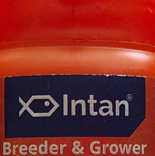 Intan breeder grower - intan, &
