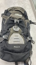 Camelback Mule