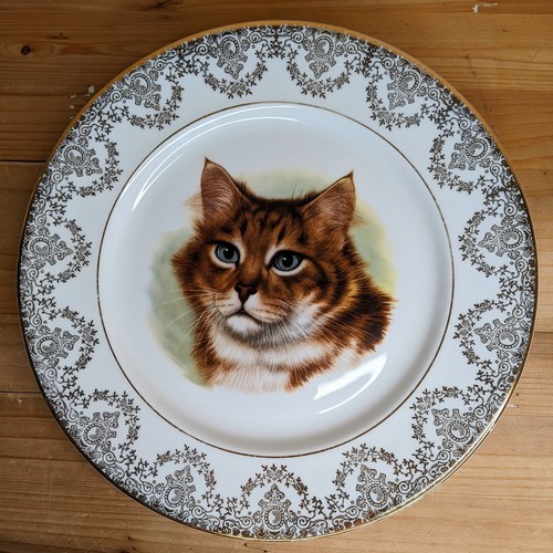 Vintage cat plate bone china - cat,
