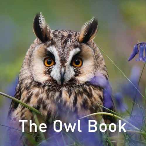 The owl book by - the,
