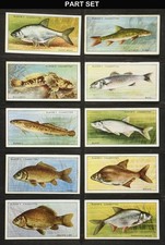 FRESH-WATER FISHES PLAYER