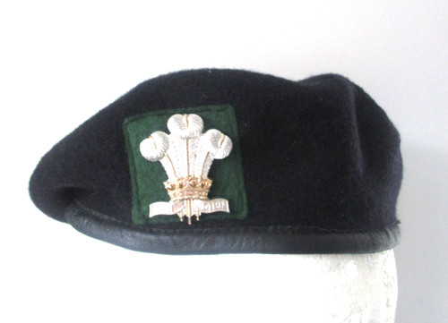 Royal welsh regiment navy - royal,