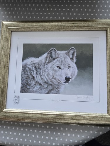 Stephen gayford magical - stephen, wolf