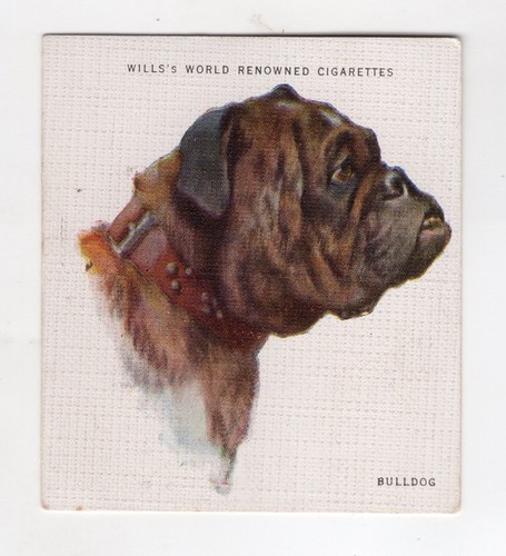 Wills world renowned - world,