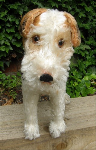 Fabulous largest size steiff - largest,