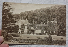 Vintage 1916 Postcard Juniper