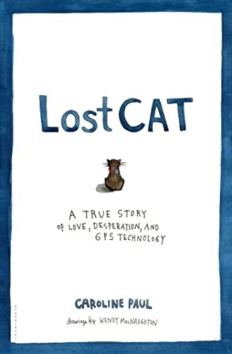 Lost cat true story - a, of