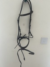 Stubben Bridle Horse