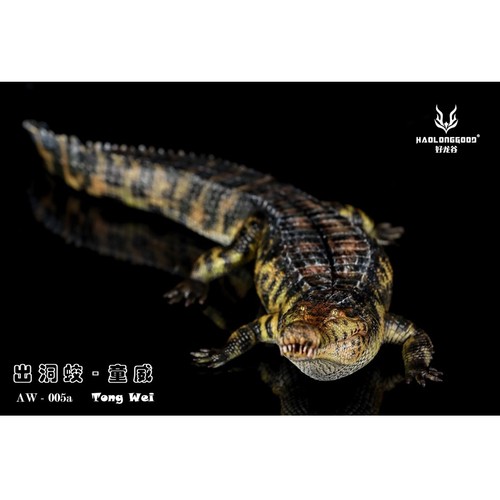 Haolonggood sarcosuchus - haolonggood,