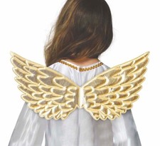 Angel Wings Child Unisex