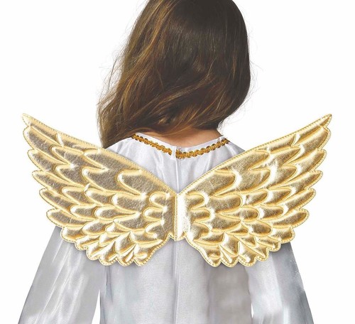 Angel wings child - angel,