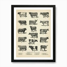 Breeds of Cow Print, Types of