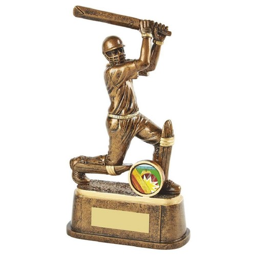 Male cricket batsman trophy - trophy,