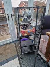 Rat Cage And Accessories 