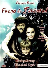 Fuego de Juventud 1944 (National Velvet) [DVD]