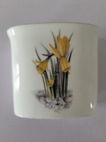 Royal worcester fine bone - royal,