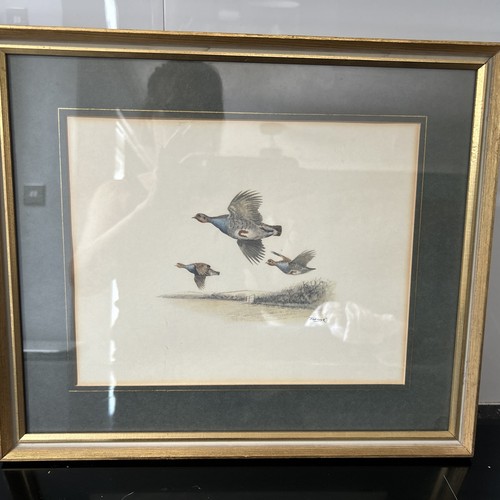 Vintage framed print fish - framed, hawk
