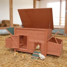 Chicken house chicken aviary