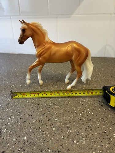 Golden coat and - golden, white
