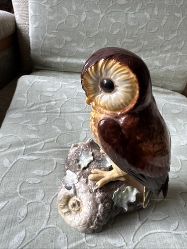 Royal crown derby tawny owl - tawny,
