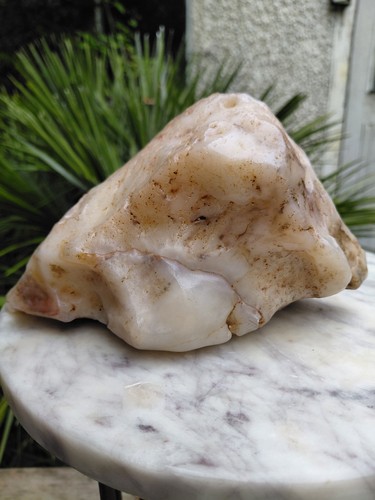 1485g white jade fossil - jade,