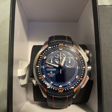 Citizen Men’s ProMaster NWT