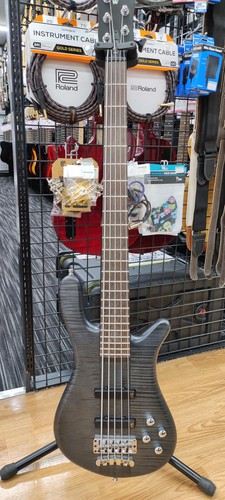 Warwick bass streamer - bass, stage