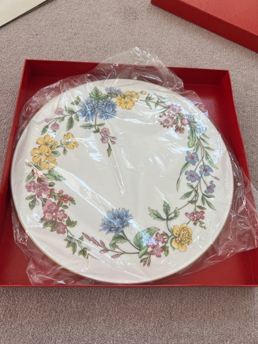 Spode romany brand new - -,