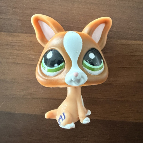 Littlest pet shop chihuahua - littlest,