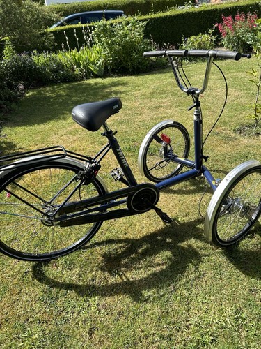 Adult tricycle wheeler bike - adult, 3-wheeler