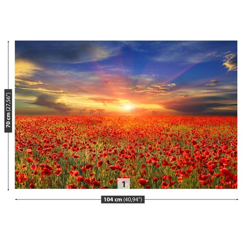 Non woven wall mural - mural, photo
