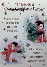 GRANDDAUGHTER AND PARTNER CHRISTMAS CARD CUTE 7”x5” FREE P&P