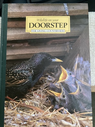 Wildlife your doorstep - on,