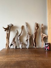 Driftwood Pieces, x6 heavy logs irreg. shapes craft pieces Bogwood  for Vivarium