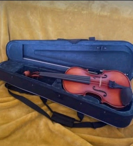 Viola primavera 200 - 200, full
