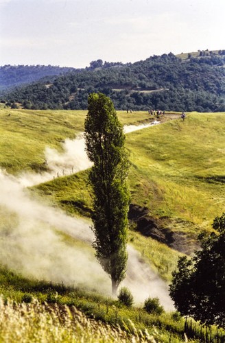 Porsche 911 rally car 1986 - porsche, old