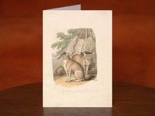 Two Huskies by Samuel Howitt (ca. 1817) - A5 Art Print Greeting Card