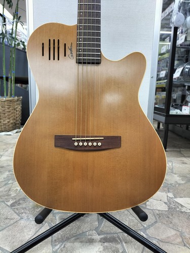 Godin natural sf - godin,