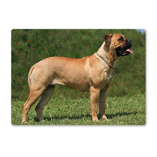 Metal wall sign dogs - sign, mastiff