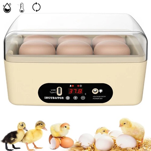 Egg incubator for - egg,