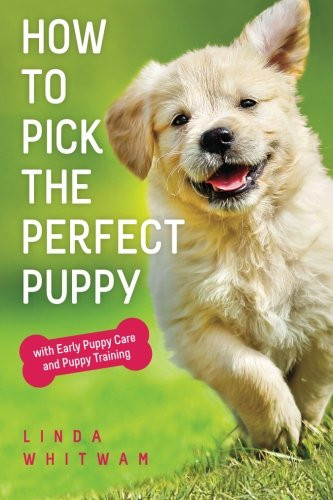 How pick the perfect - to,