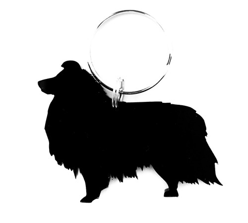 Sheltie shetland sheepdog dog - sheepdog,
