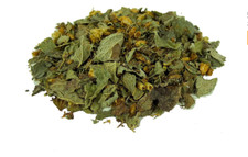 Calea Zacatechichi - Dream herb (leaf of goods)