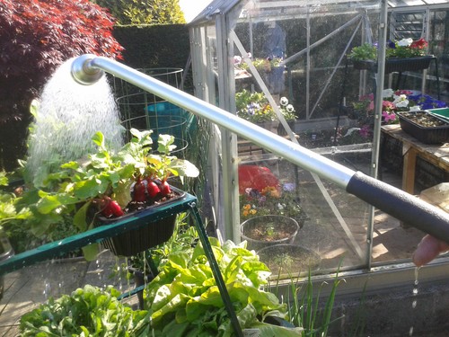 Watering lance 60cm geka - lance,