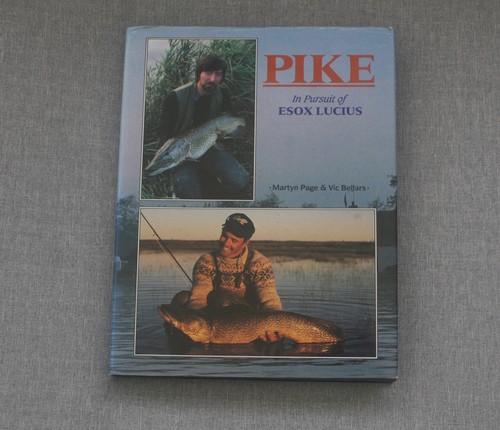 Pike pursuit esox lucius - pike, in